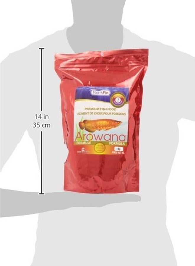 Northfin Arowana - Image 3